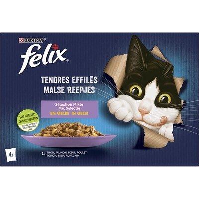 EFFILES GELÉE CHAT MIXTE 4X85G