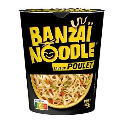 NOUILLES POULET 67G